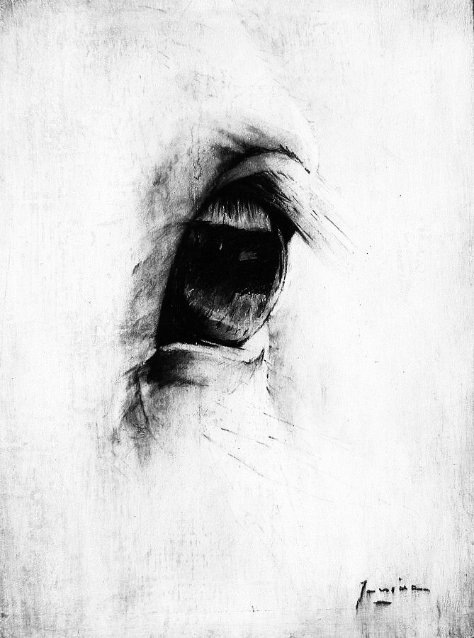The Eye — close study of a horse's eye in charcoal on a white prepared ground