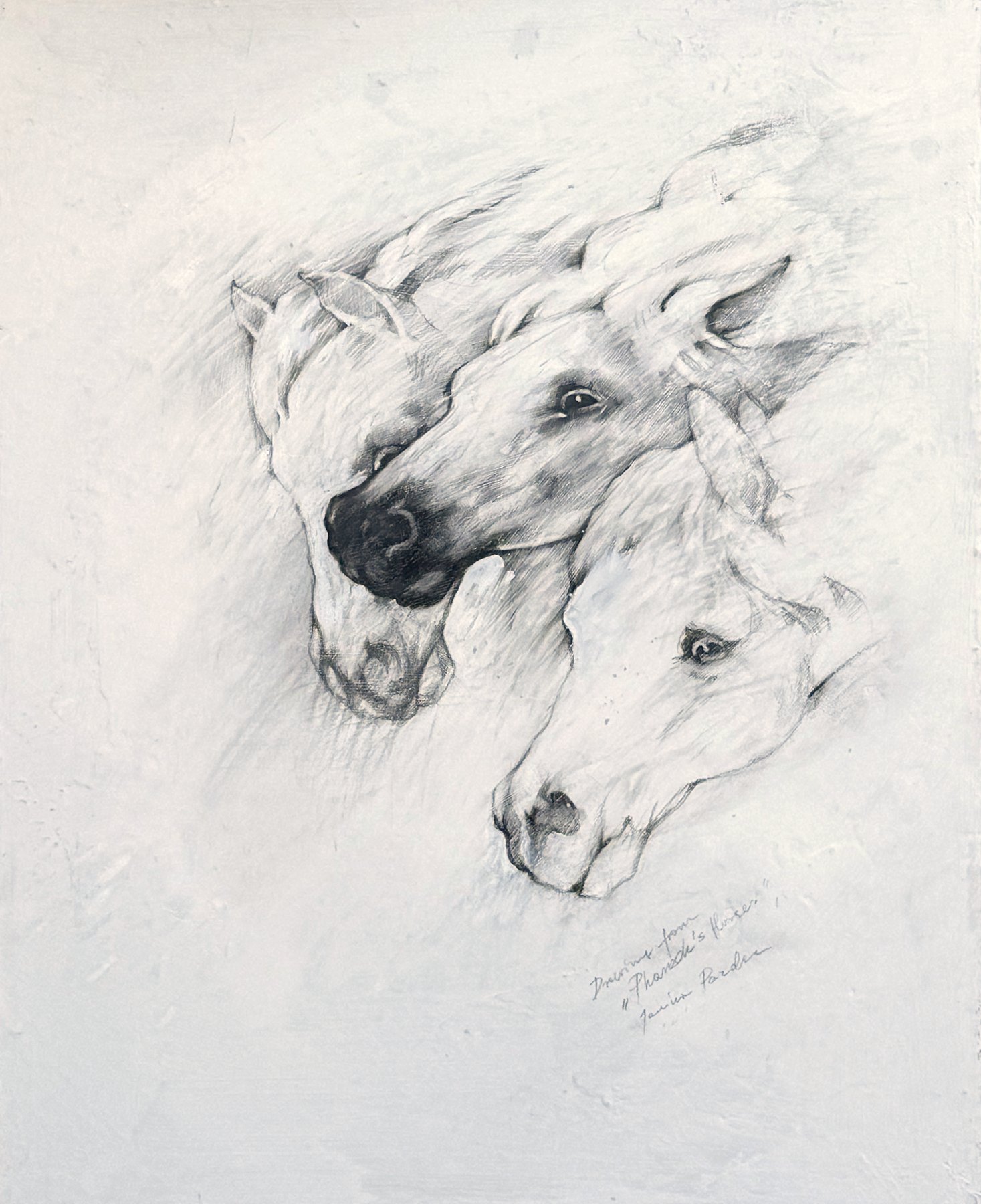 Three Graceful Horses — three horses' heads drawn in charcoal on a white prepared panel
