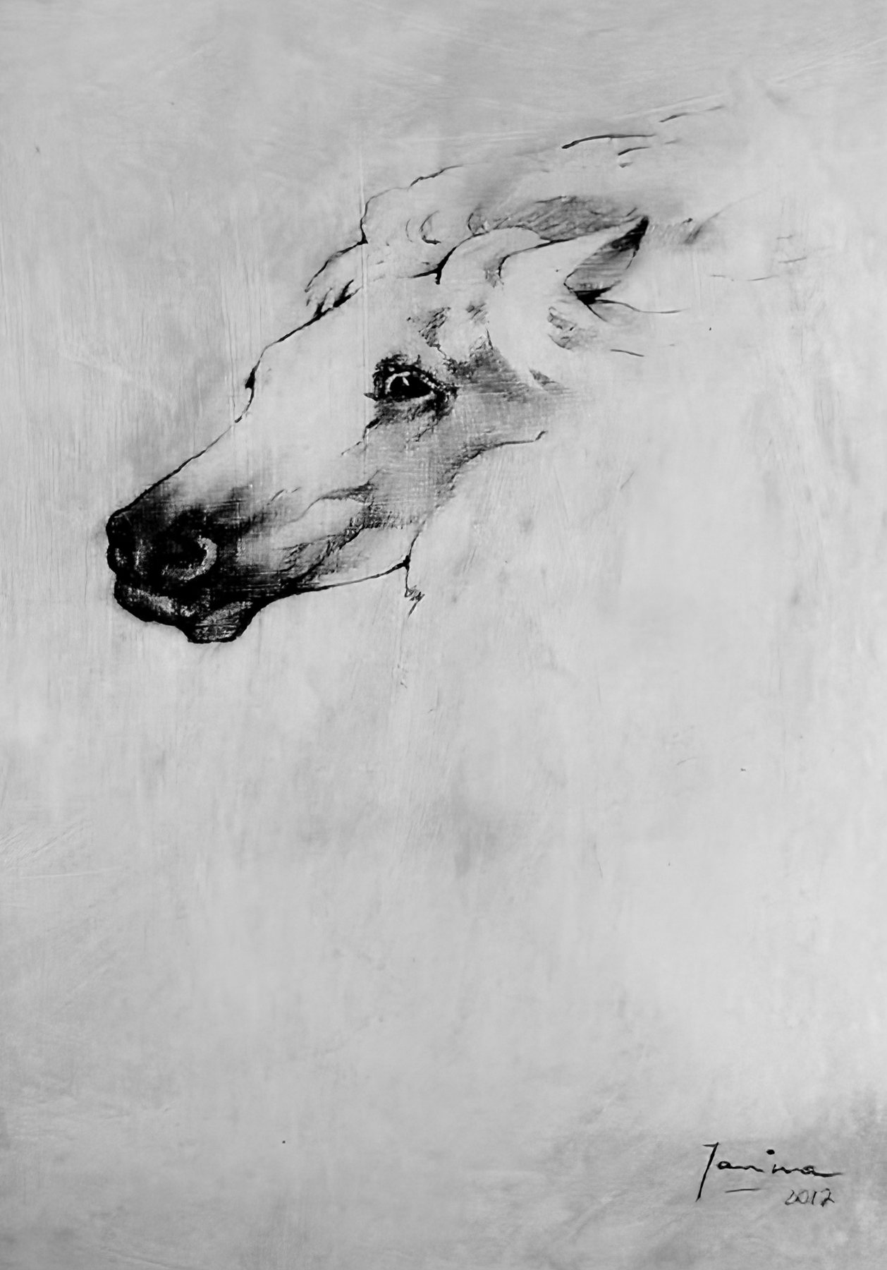 Charcoal study of a horse's head in profile on a pale prepared ground, signed 2012