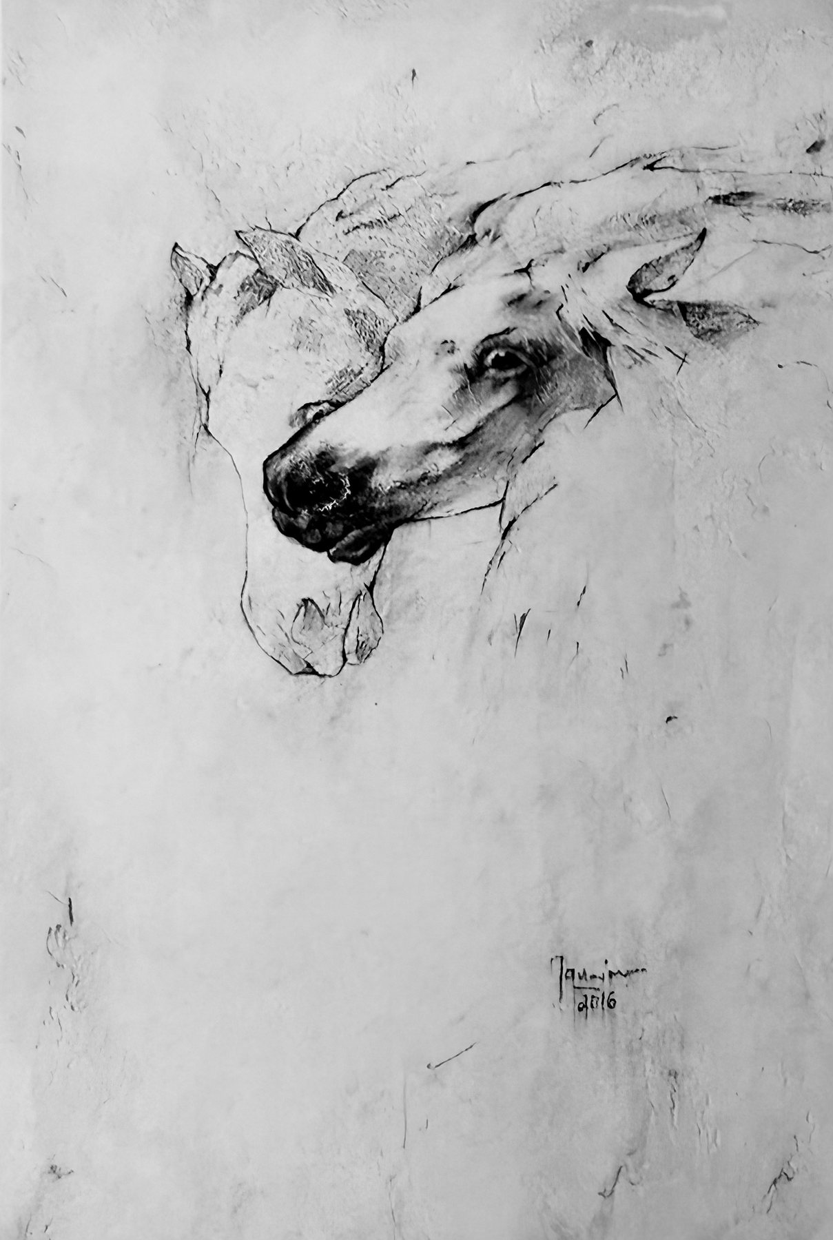 Charcoal study of a horse turning its head, textured pale ground, signed 2016