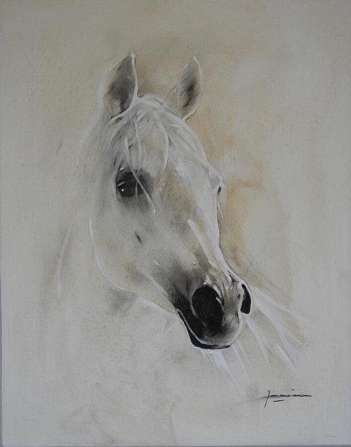 Majestic White Horse Portrait — a white horse's head emerging from a pale ground